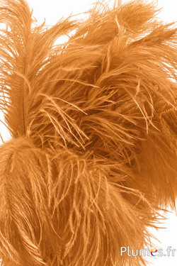 Strauss - 30-40 cm - cognac